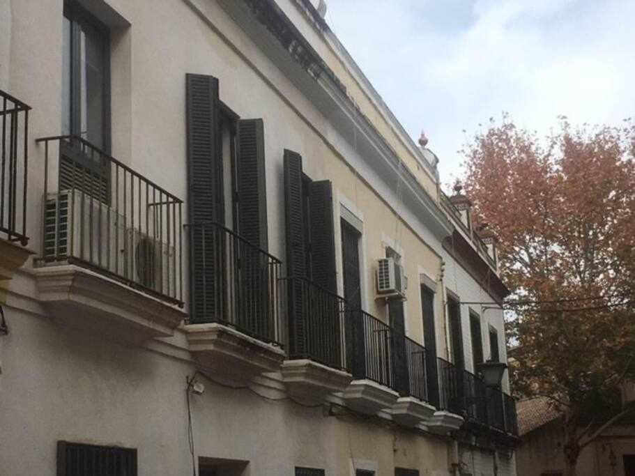 Apartamento Con Parking Jesus Del Gran Poder Sevilla Eksteriør billede